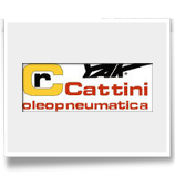 Cric oleopneumatici 